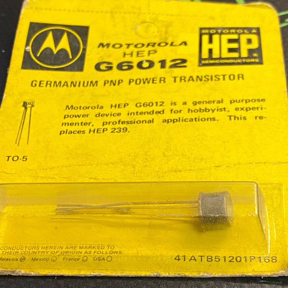 HEPG6012